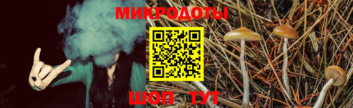Дмитров  Галлюциногенные грибы Psilocybine cubensis  Вход с VPN  Псилоцибиновые грибы Psilocybe 