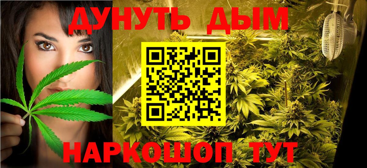 Дмитров  Бошки Шишки OG Kush  Вход с VPN  Бошки марихуана план  Каннабис MAZAR 